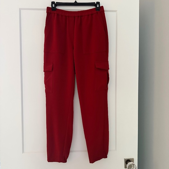 THEORY Amazing Brick Red  Cargo Jogger Pants Sz 2 NWT $325!! - Picture 3 of 5